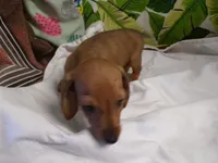 processed/452b15a0-12b7-4d9d-be3e-71be1f7c0d1f/listing/b9addd1f-2c20-4c3e-96cc-76fbae2eef94/d4c64e0f-27a3-4429-a9d4-32036aba7fa0