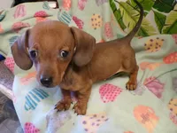 processed/452b15a0-12b7-4d9d-be3e-71be1f7c0d1f/listing/d68a6482-edff-4223-864f-f97ad655b932/1c0291cc-13ab-41ef-8ff1-07abd7a6ae6f