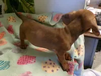 processed/452b15a0-12b7-4d9d-be3e-71be1f7c0d1f/listing/d68a6482-edff-4223-864f-f97ad655b932/3c3039df-298d-4c8a-9b0f-09e33219ee51