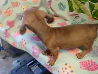 processed/452b15a0-12b7-4d9d-be3e-71be1f7c0d1f/listing/d68a6482-edff-4223-864f-f97ad655b932/498df640-54c7-49d9-a201-4c52602dc5d8