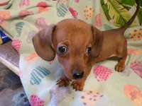 processed/452b15a0-12b7-4d9d-be3e-71be1f7c0d1f/listing/d68a6482-edff-4223-864f-f97ad655b932/78b0a4a4-180f-4cfb-ab59-1f15c5ee2639