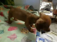 processed/452b15a0-12b7-4d9d-be3e-71be1f7c0d1f/listing/d68a6482-edff-4223-864f-f97ad655b932/9908511b-d098-4aae-98ca-355569bf80db