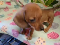 processed/452b15a0-12b7-4d9d-be3e-71be1f7c0d1f/listing/d68a6482-edff-4223-864f-f97ad655b932/ece9d9a3-7e3c-4011-b267-bb575a13008f