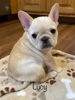 processed/452bb2a0-f074-4bc9-8af4-86d5fbbd13f3/facility/904868f7-7013-4a8a-b488-f10976111c9c