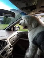 processed/4534d152-f132-4338-903a-4d71b9d8a862/facility/223cf816-5c2a-4c35-9c79-a68cd3ab9ded