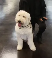 processed/4534d152-f132-4338-903a-4d71b9d8a862/facility/288ce84b-d2a5-49b5-8cce-cb1b9cb019e2