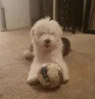 processed/4534d152-f132-4338-903a-4d71b9d8a862/facility/7da8a0ee-e600-47c7-979d-0a38c5bc39fd