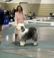 processed/4534d152-f132-4338-903a-4d71b9d8a862/listing/11d79f14-39fc-421b-9ab4-06804b9e42e5/1a2ef7ba-a902-47eb-82a0-2127c28ac40a