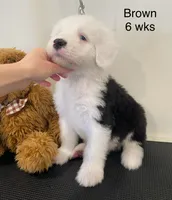 processed/4534d152-f132-4338-903a-4d71b9d8a862/listing/11d79f14-39fc-421b-9ab4-06804b9e42e5/4710a5f1-02b5-4ecc-9d0f-f8ac0057394b