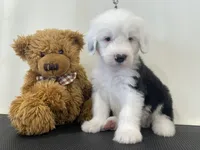 processed/4534d152-f132-4338-903a-4d71b9d8a862/listing/11d79f14-39fc-421b-9ab4-06804b9e42e5/5bf2711e-1228-41a8-bc68-b889cc538e33