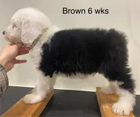 processed/4534d152-f132-4338-903a-4d71b9d8a862/listing/11d79f14-39fc-421b-9ab4-06804b9e42e5/5f666459-c233-4688-9fb7-378ea0047cd9