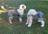 processed/4534d152-f132-4338-903a-4d71b9d8a862/listing/11d79f14-39fc-421b-9ab4-06804b9e42e5/806d843d-d42c-454a-8801-0b9c357574b9