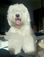 processed/4534d152-f132-4338-903a-4d71b9d8a862/listing/11d79f14-39fc-421b-9ab4-06804b9e42e5/8241ea6f-95cb-4e93-880c-359d60ccce84