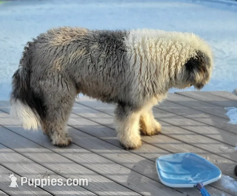 processed/4534d152-f132-4338-903a-4d71b9d8a862/listing/11d79f14-39fc-421b-9ab4-06804b9e42e5/c5a94a21-373d-4191-87d8-e77037d84bad