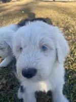 processed/4534d152-f132-4338-903a-4d71b9d8a862/listing/11d79f14-39fc-421b-9ab4-06804b9e42e5/e25022dc-990d-4610-afe5-fd87e0588ffa