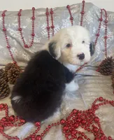 processed/4534d152-f132-4338-903a-4d71b9d8a862/listing/163918c5-ada9-4c99-bb87-a8b225266824/0922f944-7c89-4aad-ac48-ca1b3c883901