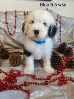 processed/4534d152-f132-4338-903a-4d71b9d8a862/listing/163918c5-ada9-4c99-bb87-a8b225266824/0c74a5aa-0388-481b-b93b-698f3773ee8b