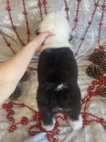 processed/4534d152-f132-4338-903a-4d71b9d8a862/listing/163918c5-ada9-4c99-bb87-a8b225266824/1a70e8a4-fc7e-43ee-9fab-dfb9391db06c