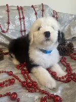 processed/4534d152-f132-4338-903a-4d71b9d8a862/listing/163918c5-ada9-4c99-bb87-a8b225266824/20f64c82-3e72-4f5e-a508-f0ff446a0e7d