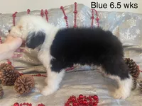 processed/4534d152-f132-4338-903a-4d71b9d8a862/listing/163918c5-ada9-4c99-bb87-a8b225266824/3e4528f2-8ce7-410c-9d2a-685322b9aa6a