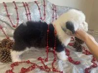 processed/4534d152-f132-4338-903a-4d71b9d8a862/listing/163918c5-ada9-4c99-bb87-a8b225266824/a0303990-0bdf-4270-b4c0-2c3c9aa79e6f