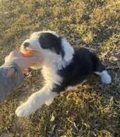 processed/4534d152-f132-4338-903a-4d71b9d8a862/listing/542e379b-918a-41fe-98ec-519335ec0fc5/0be40c7e-28fb-4d5d-a10a-a9dca80e429d