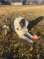 processed/4534d152-f132-4338-903a-4d71b9d8a862/listing/542e379b-918a-41fe-98ec-519335ec0fc5/22d8d8a2-5442-437c-a13e-4d08c54c15a9