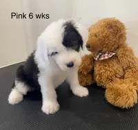 processed/4534d152-f132-4338-903a-4d71b9d8a862/listing/542e379b-918a-41fe-98ec-519335ec0fc5/6cf4e407-0170-4b12-b93a-97ab9ef157f1