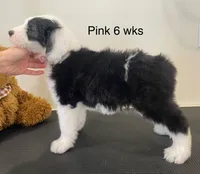 processed/4534d152-f132-4338-903a-4d71b9d8a862/listing/542e379b-918a-41fe-98ec-519335ec0fc5/7ed511e9-150b-45f0-9806-000c7a094de1