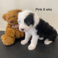 processed/4534d152-f132-4338-903a-4d71b9d8a862/listing/542e379b-918a-41fe-98ec-519335ec0fc5/d651e2b5-b3ec-45f3-a98a-35e104812d61