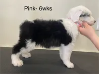 processed/4534d152-f132-4338-903a-4d71b9d8a862/listing/542e379b-918a-41fe-98ec-519335ec0fc5/d6bd5eac-a6f1-431c-917b-b2491c955e36