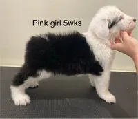 processed/4534d152-f132-4338-903a-4d71b9d8a862/listing/542e379b-918a-41fe-98ec-519335ec0fc5/ed90da1b-7072-4962-9d7b-ccf0149404d1