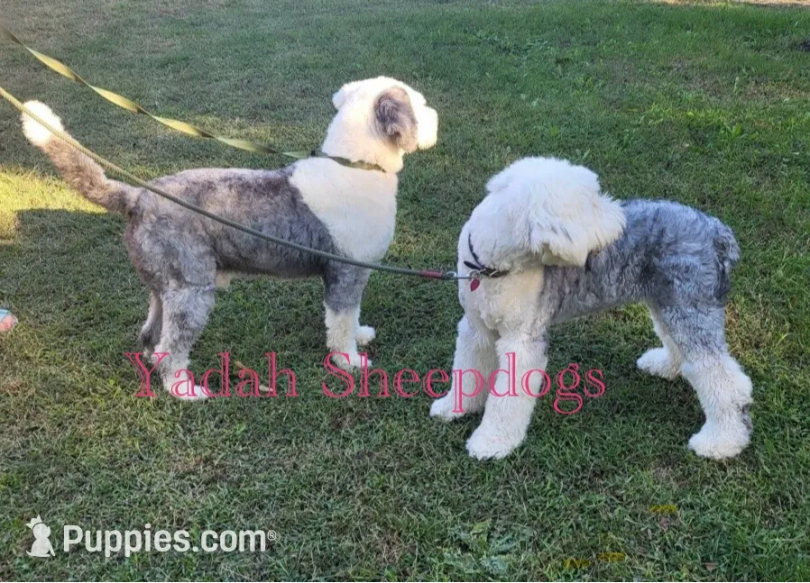 processed/4534d152-f132-4338-903a-4d71b9d8a862/listing/7626665a-de2d-460c-9a50-aee7b399b2d5/31e6726b-9b38-4044-9514-21a6d5c49b5e