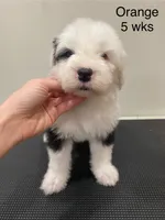 processed/4534d152-f132-4338-903a-4d71b9d8a862/listing/7626665a-de2d-460c-9a50-aee7b399b2d5/bf4a6139-6504-427d-836b-56c07693173b