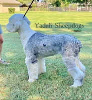 processed/4534d152-f132-4338-903a-4d71b9d8a862/listing/7626665a-de2d-460c-9a50-aee7b399b2d5/ea744c56-3a59-42a2-aa3f-ae7ec4da32ab