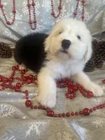 processed/4534d152-f132-4338-903a-4d71b9d8a862/listing/7ff1be61-7b92-4216-8197-d8be434e61ad/07584b11-43a1-456a-8420-87a1303f9908