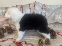 processed/4534d152-f132-4338-903a-4d71b9d8a862/listing/7ff1be61-7b92-4216-8197-d8be434e61ad/147bd069-6277-4d0f-b835-e5ab0db5c9a8