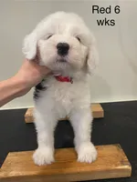 processed/4534d152-f132-4338-903a-4d71b9d8a862/listing/7ff1be61-7b92-4216-8197-d8be434e61ad/2b8ce1e1-ab04-411d-ae09-e5a155092461