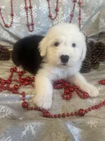 processed/4534d152-f132-4338-903a-4d71b9d8a862/listing/7ff1be61-7b92-4216-8197-d8be434e61ad/2fbe6bc9-fa84-4a60-aa41-90dea966c0b8