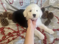 processed/4534d152-f132-4338-903a-4d71b9d8a862/listing/7ff1be61-7b92-4216-8197-d8be434e61ad/78516220-9367-427b-853e-9390c9d87faa