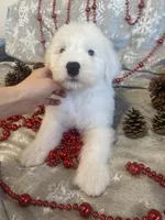 processed/4534d152-f132-4338-903a-4d71b9d8a862/listing/7ff1be61-7b92-4216-8197-d8be434e61ad/a5e3ad0e-eeda-4269-8876-edf1b44ab0ae