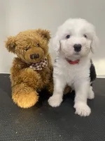 processed/4534d152-f132-4338-903a-4d71b9d8a862/listing/7ff1be61-7b92-4216-8197-d8be434e61ad/c8496206-aa9b-46df-a843-6b966e749fe5