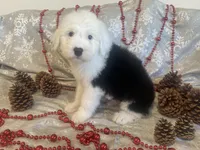 processed/4534d152-f132-4338-903a-4d71b9d8a862/listing/7ff1be61-7b92-4216-8197-d8be434e61ad/d3430ce3-0060-4b14-9f37-44f3d982d2dc