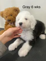 processed/4534d152-f132-4338-903a-4d71b9d8a862/listing/9f3a939b-490c-416b-90d6-ca7bec6919cc/652a77c8-06dd-465b-ad7a-ddca453cf7ae