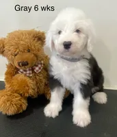 processed/4534d152-f132-4338-903a-4d71b9d8a862/listing/9f3a939b-490c-416b-90d6-ca7bec6919cc/766e7613-2642-4519-ba63-8db15a553098