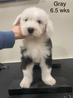 processed/4534d152-f132-4338-903a-4d71b9d8a862/listing/9f3a939b-490c-416b-90d6-ca7bec6919cc/878bbfa0-9a90-43da-94e5-71ead255f40e