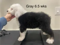 processed/4534d152-f132-4338-903a-4d71b9d8a862/listing/9f3a939b-490c-416b-90d6-ca7bec6919cc/d0e640a3-fbf5-4b62-8051-e58658d1e4b4