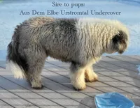 processed/4534d152-f132-4338-903a-4d71b9d8a862/listing/a0953a25-60af-4ecd-aa88-ed12ce6ba703/03276508-9e5c-47ba-a338-a26d56188b20