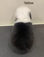 processed/4534d152-f132-4338-903a-4d71b9d8a862/listing/a0953a25-60af-4ecd-aa88-ed12ce6ba703/1321f130-3041-4c16-899d-2529b217235b