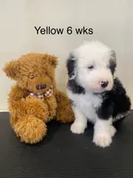 processed/4534d152-f132-4338-903a-4d71b9d8a862/listing/a0953a25-60af-4ecd-aa88-ed12ce6ba703/1d12aa32-7e75-454d-8746-938fedac5b48